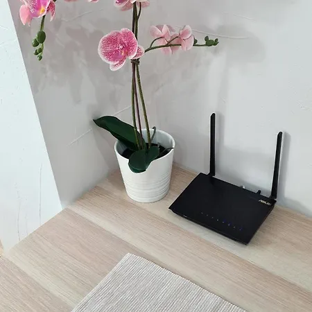 アパート Fredry *